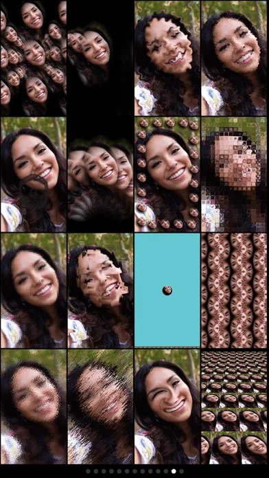Mega Photo Pro screenshot 1