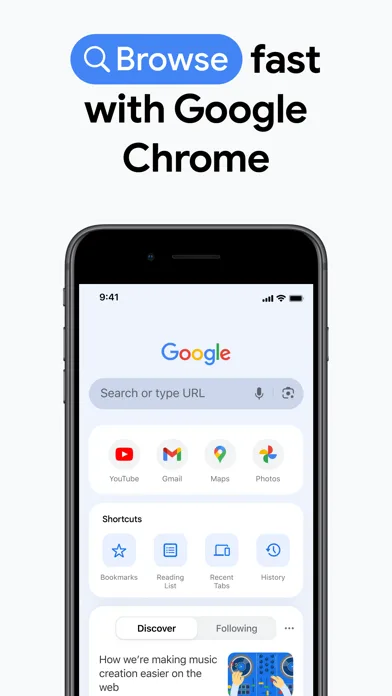 Google Chrome screenshot 1