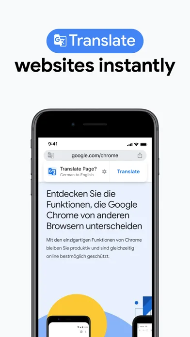 Google Chrome screenshot 3