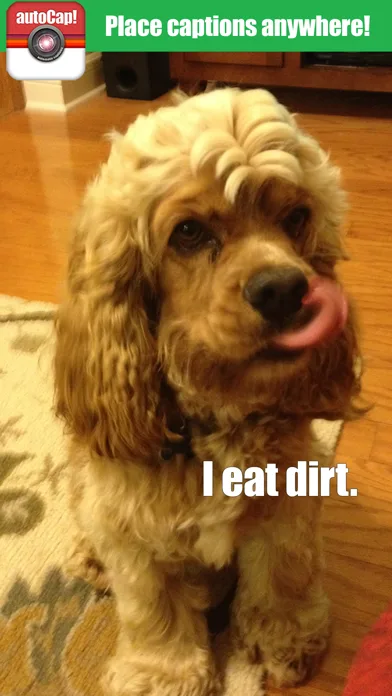 autoCap Free - Add funny text to Instagram photos & funny captions on Facebook pics screenshot 3
