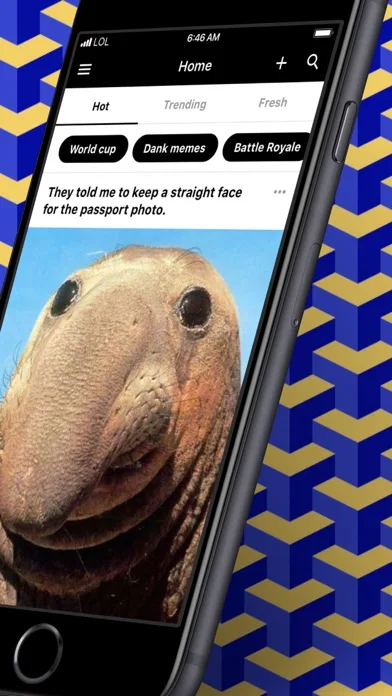 9GAG: Best LOL Pics & GIFs screenshot 2