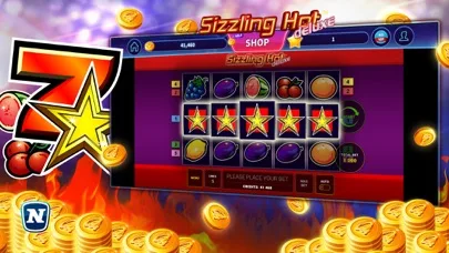 Sizzling Hot™ Deluxe Slot screenshot 3