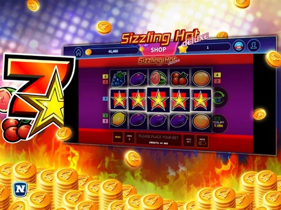 Sizzling Hot™ Deluxe Slot screenshot 4