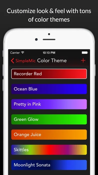 SimpleMic screenshot 5