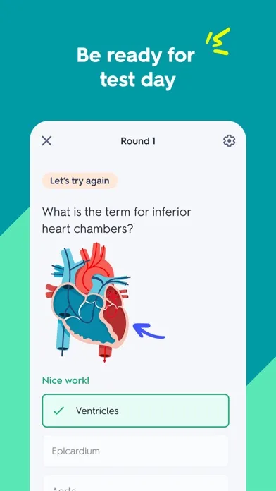 Quizlet: More than Flashcards screenshot 4