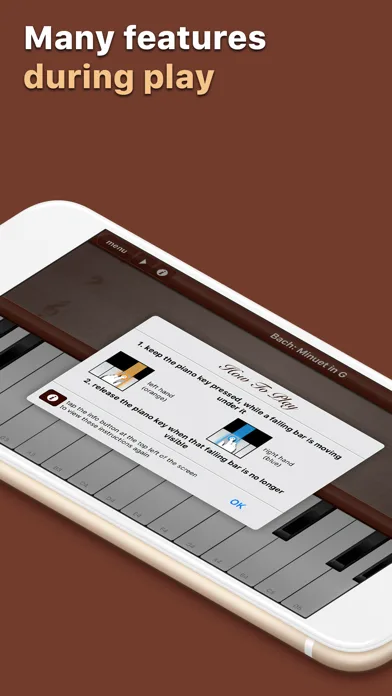 Grand Piano Keyboard&Metronome screenshot 4