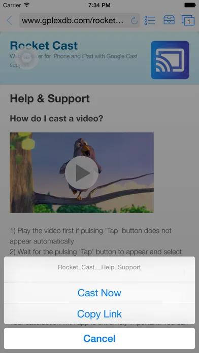 Rocket Video Cast screenshot 1