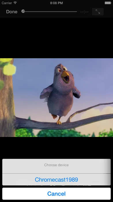 Rocket Video Cast screenshot 2