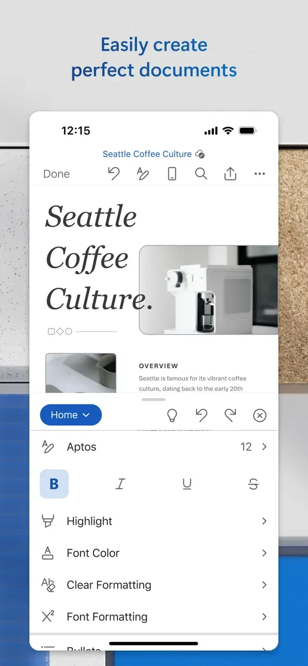 Microsoft Word screenshot 3