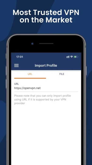OpenVPN Connect screenshot 1