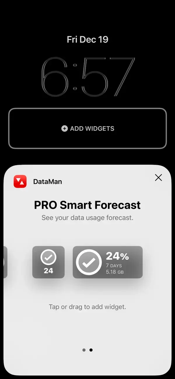 DataMan - Data Usage Widget screenshot 1