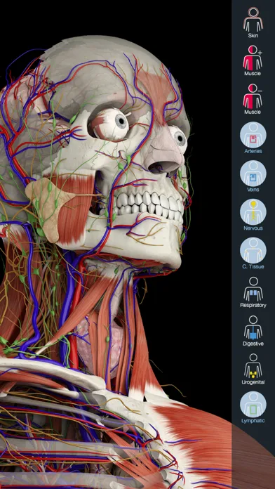 Essential Anatomy 5 screenshot 1