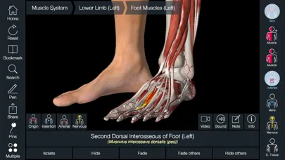 Essential Anatomy 5 screenshot 4