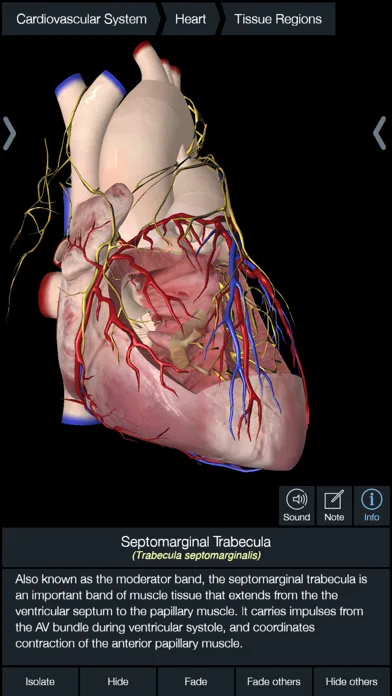 Essential Anatomy 5 screenshot 5