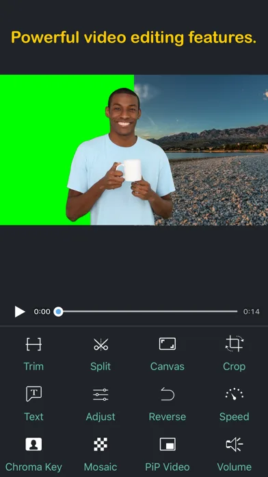Perfect Video screenshot 1