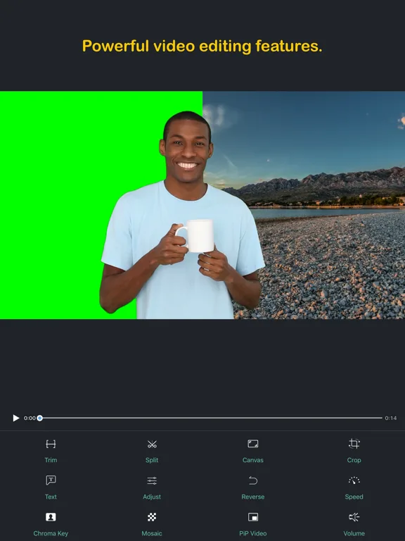 Perfect Video screenshot 4