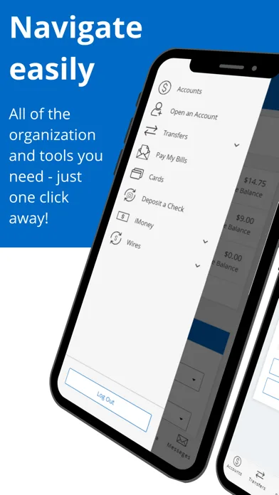 Ion Bank screenshot 4