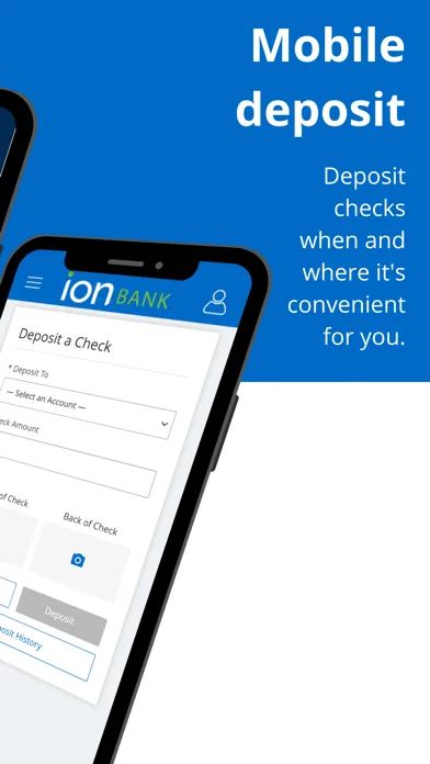 Ion Bank screenshot 5