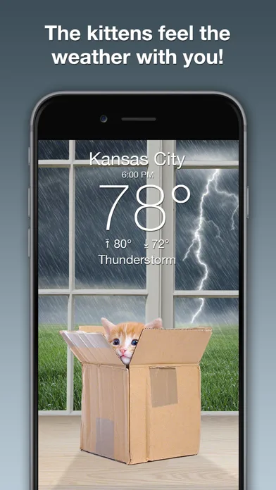 Weather Kitty: Weather + Radar screenshot 2