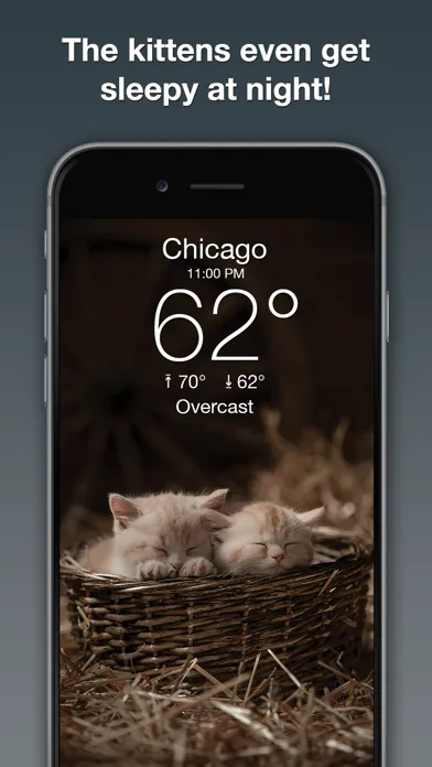 Weather Kitty: Weather + Radar screenshot 4