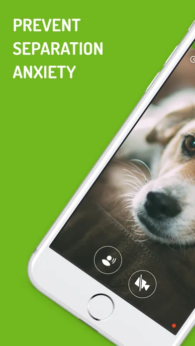 Dog Monitor screenshot 1