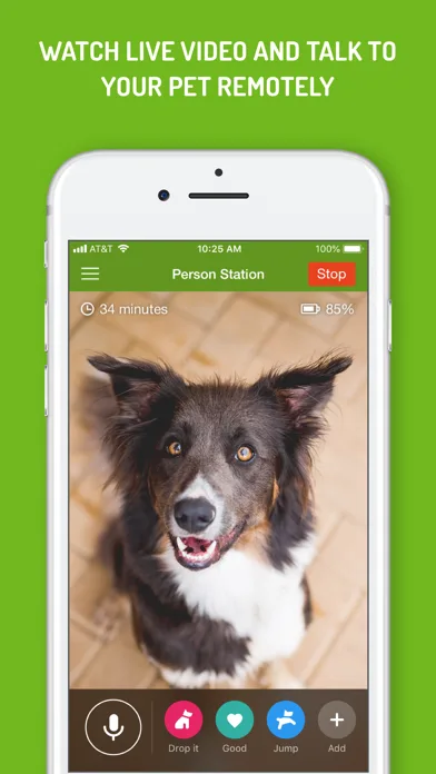 Dog Monitor screenshot 4