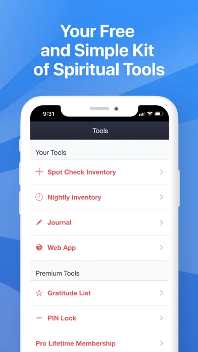 My Spiritual Toolkit AA Steps screenshot 2
