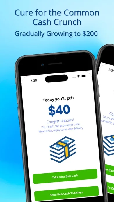 VANSi - Cash Advance screenshot 2