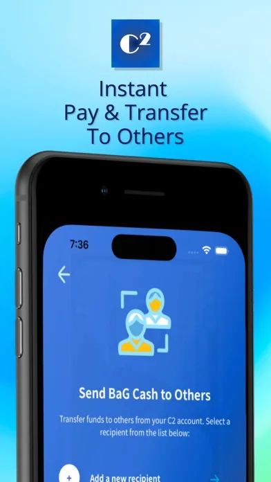 VANSi - Cash Advance screenshot 4
