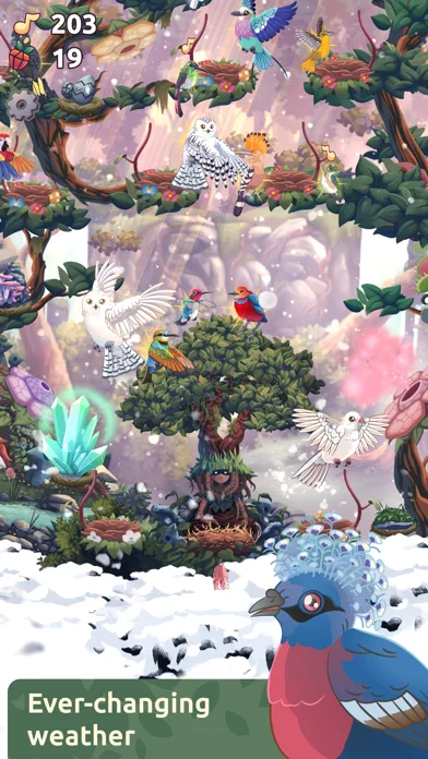 Bird Kind screenshot 4