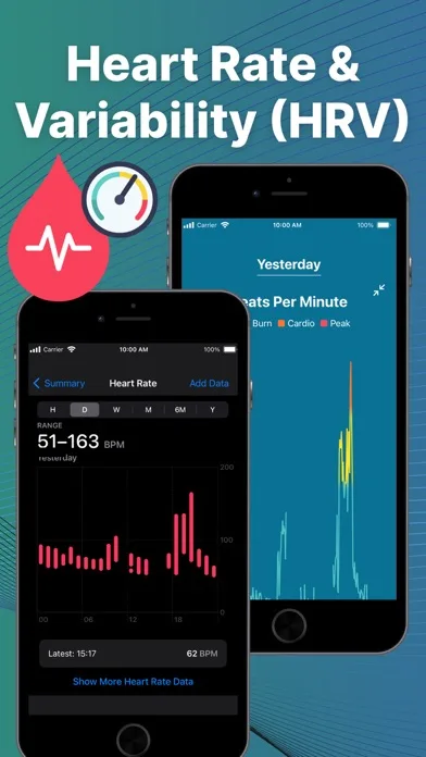 Fitbit Sync to Apple Health screenshot 2