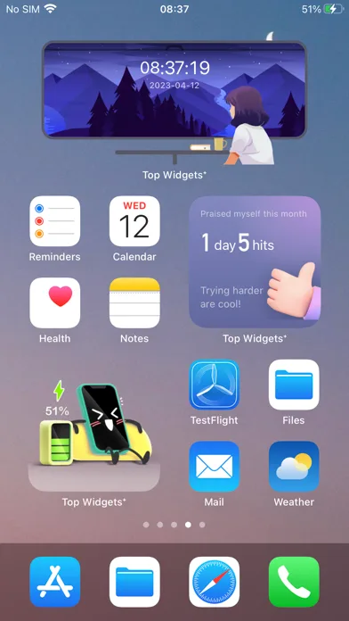 Top Widgets⁺ Icons & Themes screenshot 3