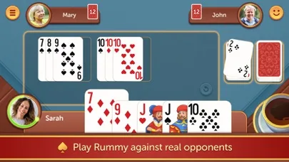 Rummy Fun & Friends screenshot 1