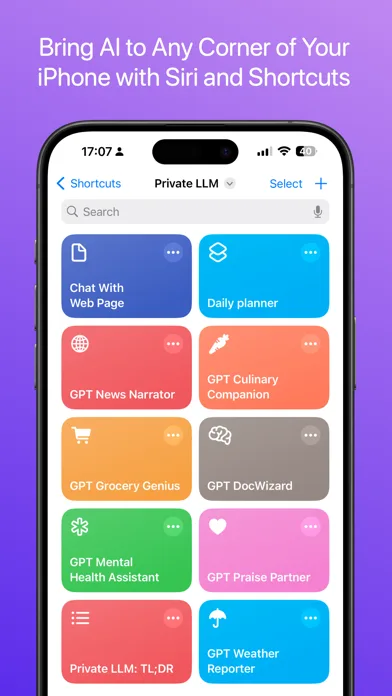 Private LLM - Local AI Chat screenshot 3