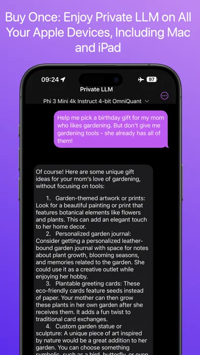 Private LLM - Local AI Chat screenshot 4
