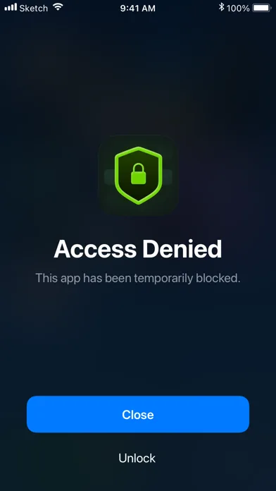 App Lock screenshot 5