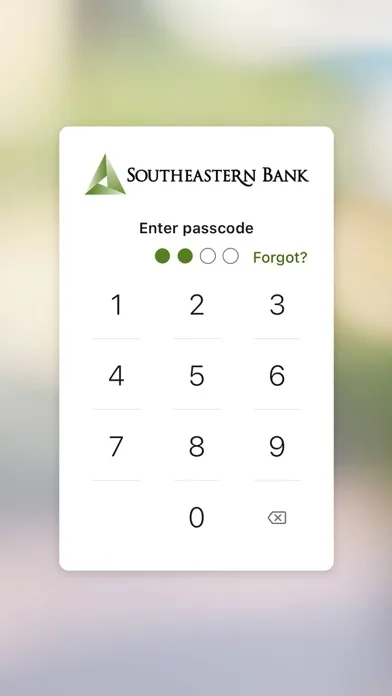 Southeastern Bank screenshot 2