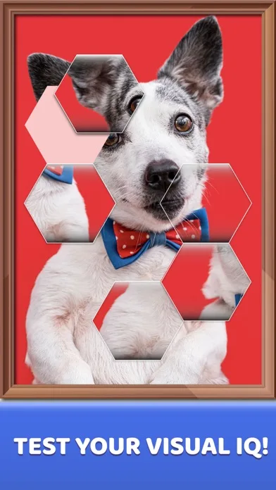 Jigsaw Solitaire: Cards Puzzle screenshot 2