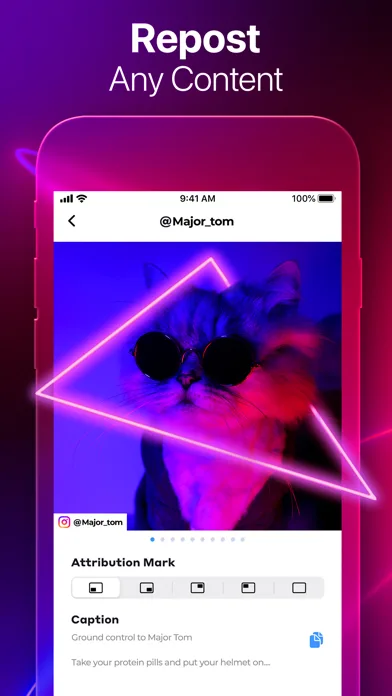 Repost: All Social Downloader screenshot 2