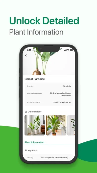 Identify My Plant Now screenshot 3