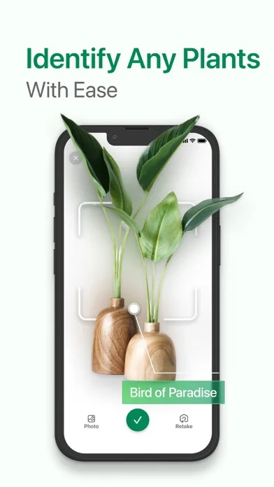 Identify My Plant Now screenshot 4