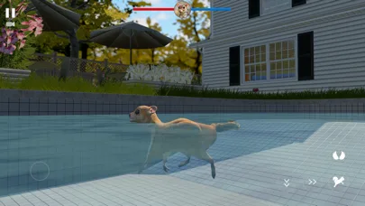 Flying Squirrel Simulator Game screenshot 3