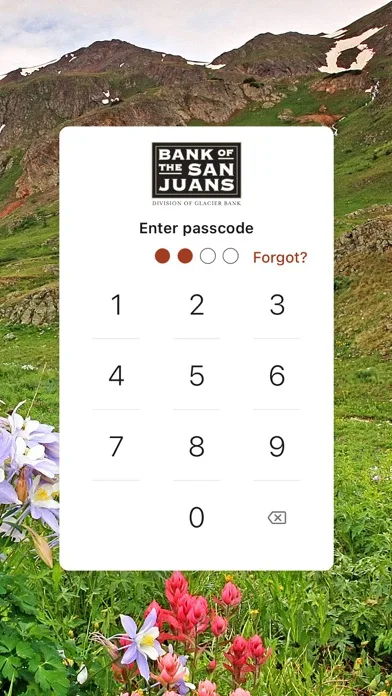 BankSanJuans screenshot 2
