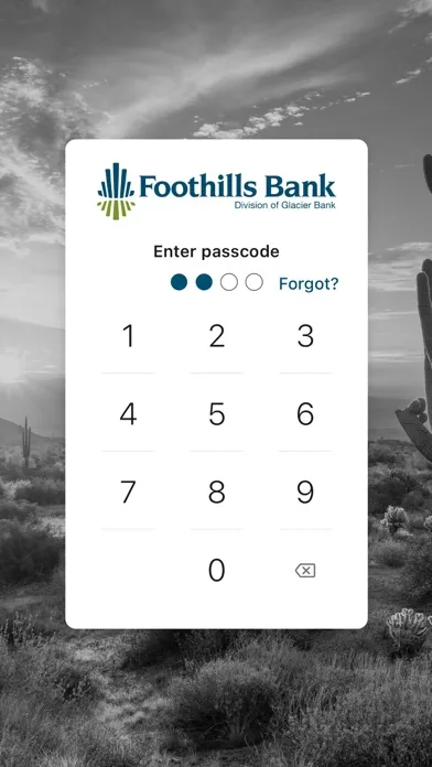 Foothills Bank screenshot 2
