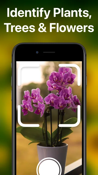 PlantAI - Plant Identifier screenshot 2