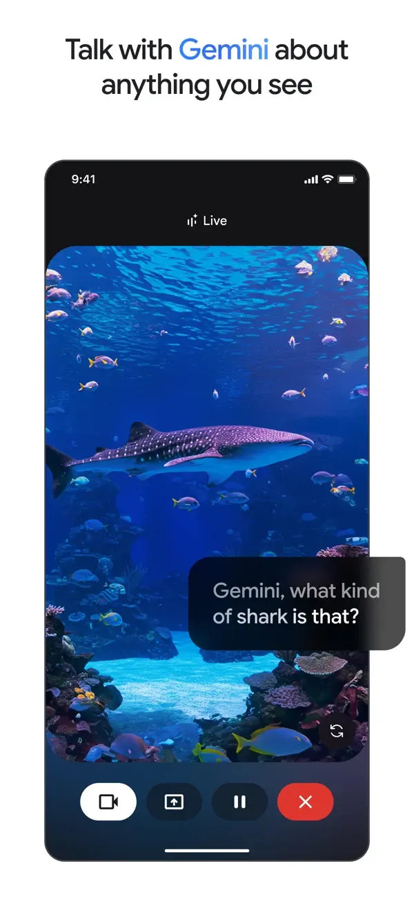 Google Gemini screenshot 4