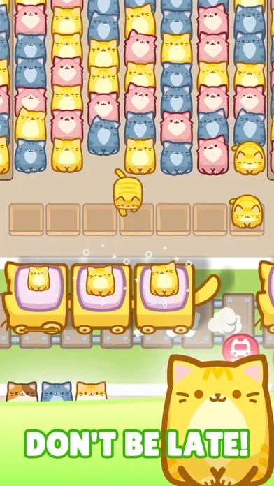 Box Cat Jam screenshot 5