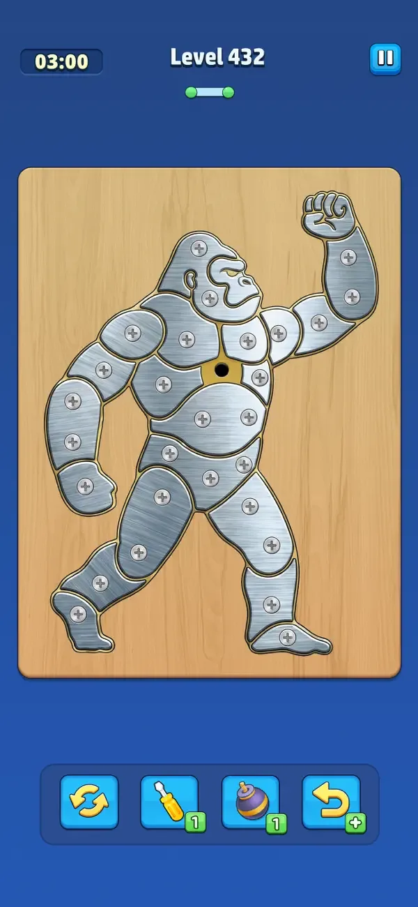 Take Off Bolts: Screw Puzzle screenshot 2