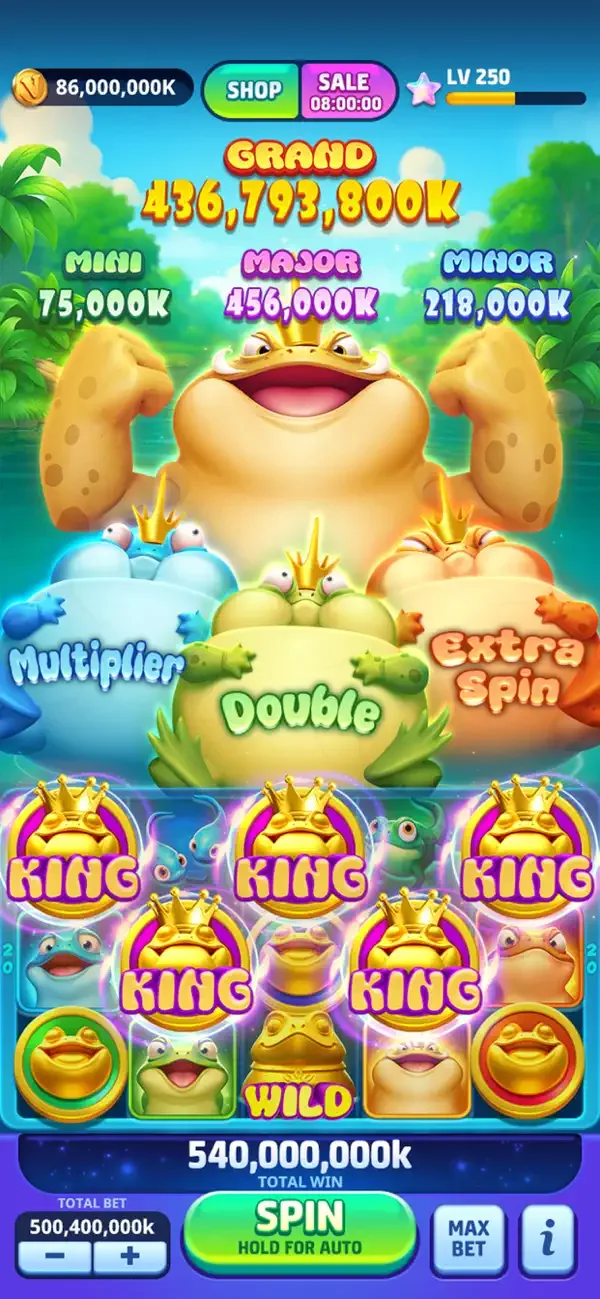 Vegas Frenzy screenshot 1