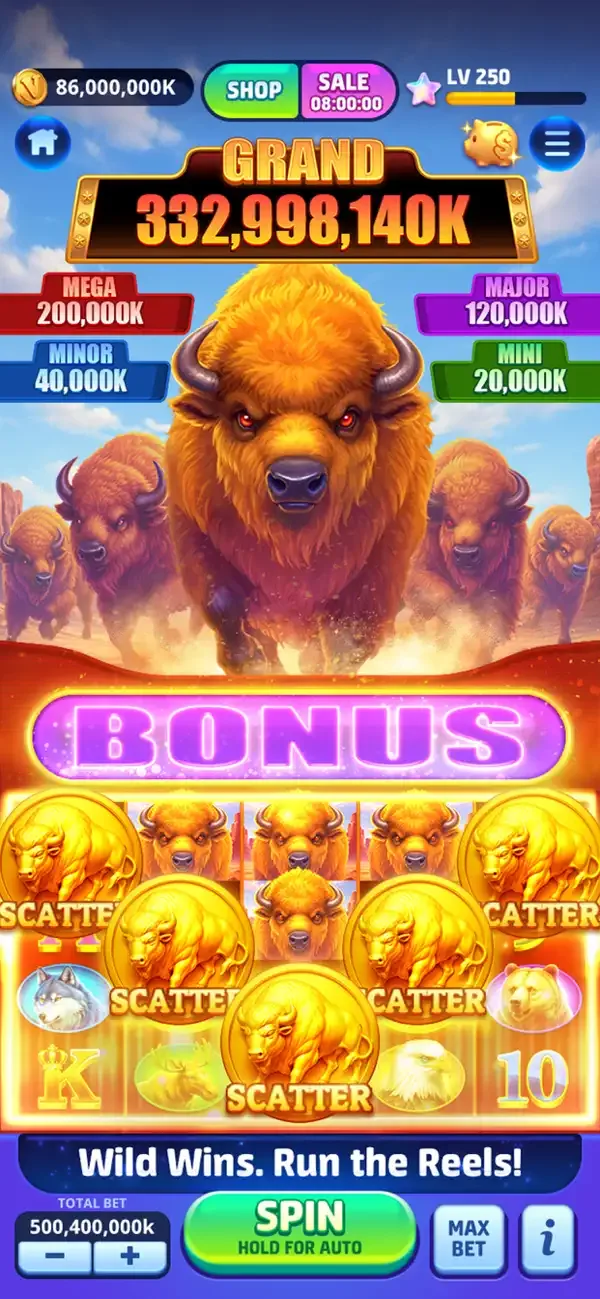 Vegas Frenzy screenshot 3